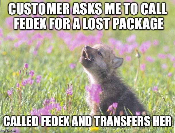 Baby Insanity Wolf Meme | CUSTOMER ASKS ME TO CALL FEDEX FOR A LOST PACKAGE; CALLED FEDEX AND TRANSFERS HER | image tagged in memes,baby insanity wolf,AdviceAnimals | made w/ Imgflip meme maker