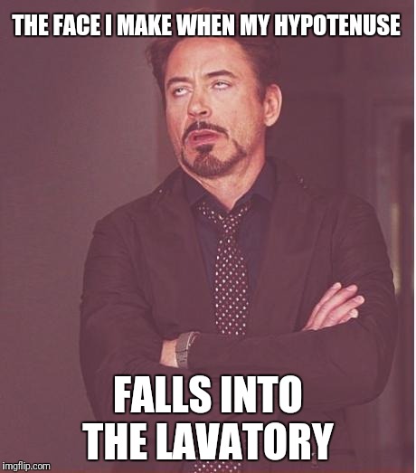 Face You Make Robert Downey Jr Meme | THE FACE I MAKE WHEN MY HYPOTENUSE FALLS INTO THE LAVATORY | image tagged in memes,face you make robert downey jr | made w/ Imgflip meme maker