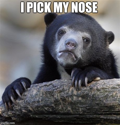 Confession Bear | I PICK MY NOSE | image tagged in memes,confession bear | made w/ Imgflip meme maker