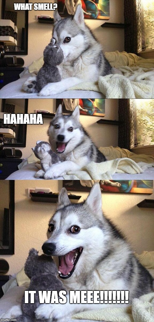 Bad Pun Dog Meme | WHAT SMELL? HAHAHA; IT WAS MEEE!!!!!!! | image tagged in memes,bad pun dog | made w/ Imgflip meme maker