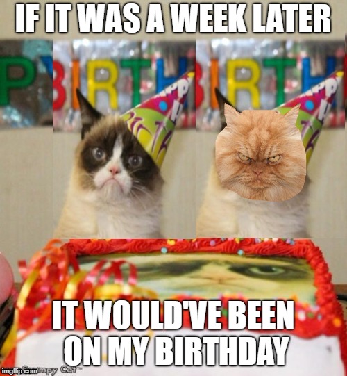 IF IT WAS A WEEK LATER IT WOULD'VE BEEN ON MY BIRTHDAY | made w/ Imgflip meme maker