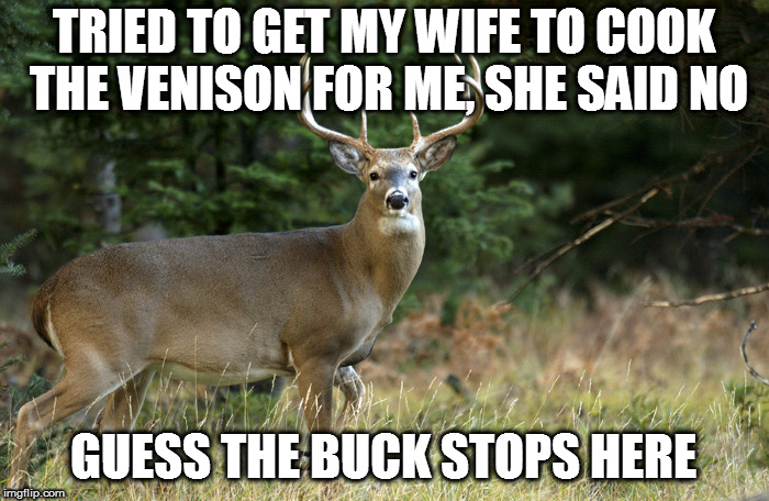 TRIED TO GET MY WIFE TO COOK THE VENISON FOR ME, SHE SAID NO GUESS THE BUCK STOPS HERE | made w/ Imgflip meme maker