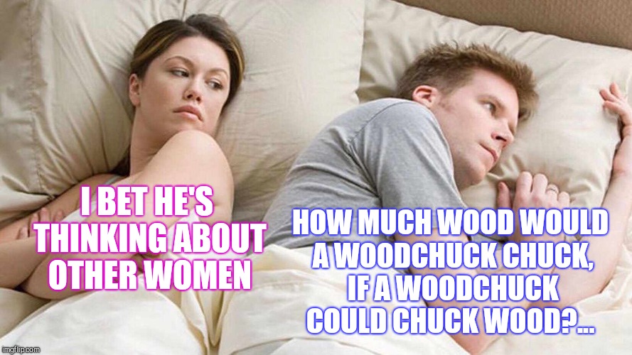 I Bet He's Thinking About Other Women Meme | HOW MUCH WOOD WOULD A WOODCHUCK CHUCK, IF A WOODCHUCK COULD CHUCK WOOD?... I BET HE'S THINKING ABOUT OTHER WOMEN | image tagged in i bet he's thinking about other women,jbmemegeek,memes | made w/ Imgflip meme maker