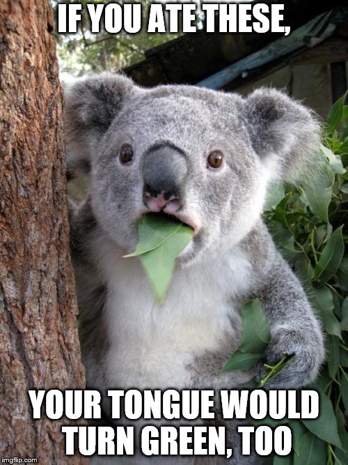 green! | IF YOU ATE THESE, YOUR TONGUE WOULD TURN GREEN, TOO | image tagged in memes,surprised koala | made w/ Imgflip meme maker