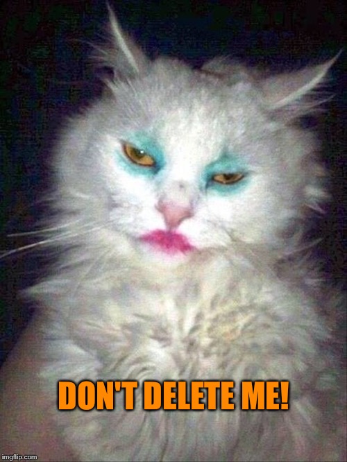 DON'T DELETE ME! | made w/ Imgflip meme maker