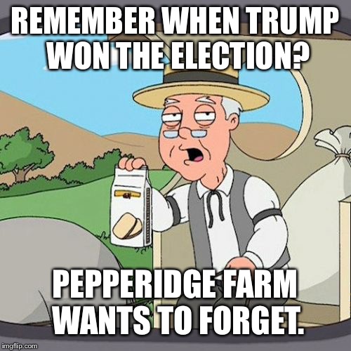 Remember when? | REMEMBER WHEN TRUMP WON THE ELECTION? PEPPERIDGE FARM WANTS TO FORGET. | image tagged in memes,pepperidge farm remembers | made w/ Imgflip meme maker