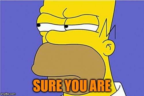SURE YOU ARE | made w/ Imgflip meme maker