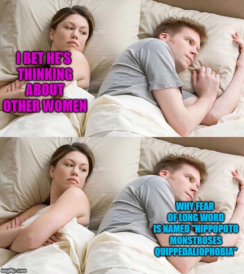 I BET HE'S THINKING ABOUT OTHER WOMEN | I BET HE'S THINKING ABOUT OTHER WOMEN; WHY FEAR OF LONG WORD IS NAMED "HIPPOPOTO MONSTROSES QUIPPEDALIOPHOBIA" | image tagged in i bet he's thinking about other women | made w/ Imgflip meme maker