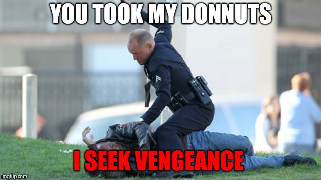 Cop Beating | YOU TOOK MY DONNUTS; I SEEK VENGEANCE | image tagged in cop beating | made w/ Imgflip meme maker