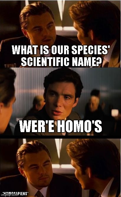 Inception Meme | WHAT IS OUR SPECIES' SCIENTIFIC NAME? WER'E HOMO'S; *HOMOSAPIENS* | image tagged in memes,inception | made w/ Imgflip meme maker