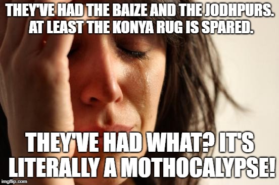 First World Problems | THEY'VE HAD THE BAIZE AND THE JODHPURS. AT LEAST THE KONYA RUG IS SPARED. THEY'VE HAD WHAT? IT'S LITERALLY A MOTHOCALYPSE! | image tagged in memes,first world problems | made w/ Imgflip meme maker