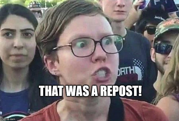 REPOST! | THAT WAS A REPOST! | image tagged in repost funny meme | made w/ Imgflip meme maker