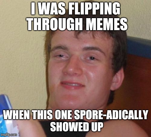 10 Guy Meme | I WAS FLIPPING THROUGH MEMES WHEN THIS ONE SPORE-ADICALLY SHOWED UP | image tagged in memes,10 guy | made w/ Imgflip meme maker