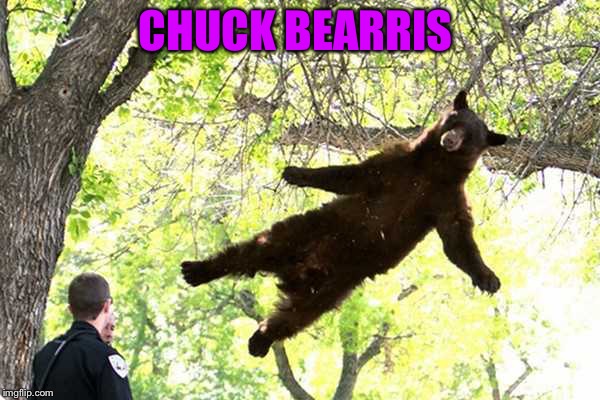 CHUCK BEARRIS | made w/ Imgflip meme maker