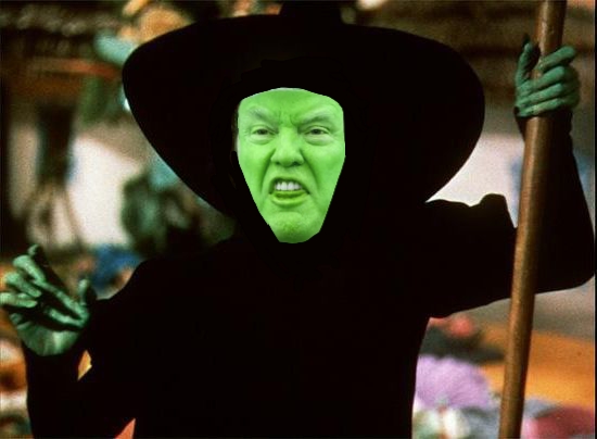 High Quality Witch trump Blank Meme Template