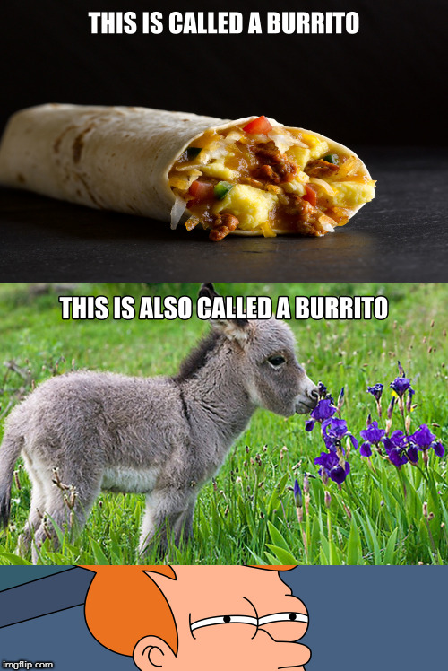 What's in a name? | image tagged in memes,burrito,fry not sure | made w/ Imgflip meme maker
