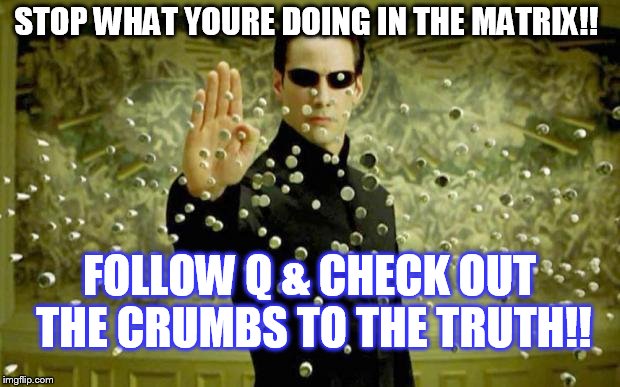 matrix | STOP WHAT YOURE DOING IN THE MATRIX!! FOLLOW Q & CHECK OUT THE CRUMBS TO THE TRUTH!! | image tagged in matrix | made w/ Imgflip meme maker
