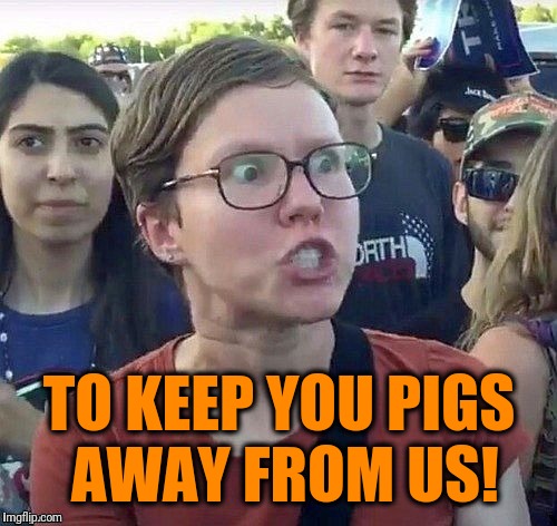 foggy | TO KEEP YOU PIGS AWAY FROM US! | image tagged in triggered feminist | made w/ Imgflip meme maker