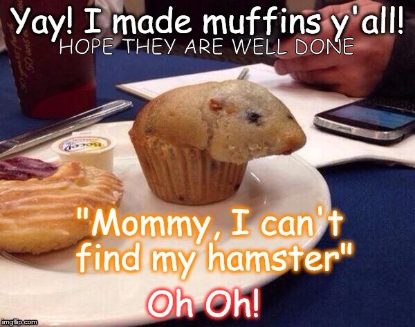HOPE THEY ARE WELL DONE | image tagged in baking,epic fail | made w/ Imgflip meme maker