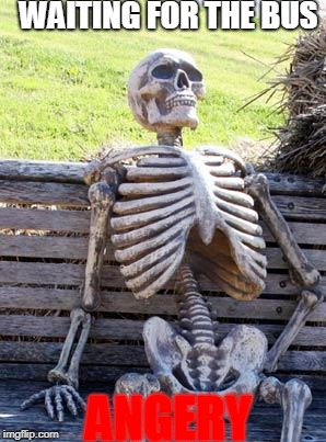 Waiting Skeleton Meme | WAITING FOR THE BUS; ANGERY | image tagged in memes,waiting skeleton,scumbag | made w/ Imgflip meme maker