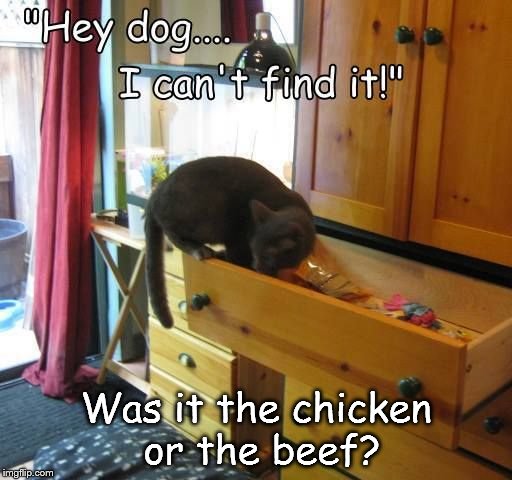 Pixie  | Was it the chicken or the beef? | image tagged in pixie | made w/ Imgflip meme maker