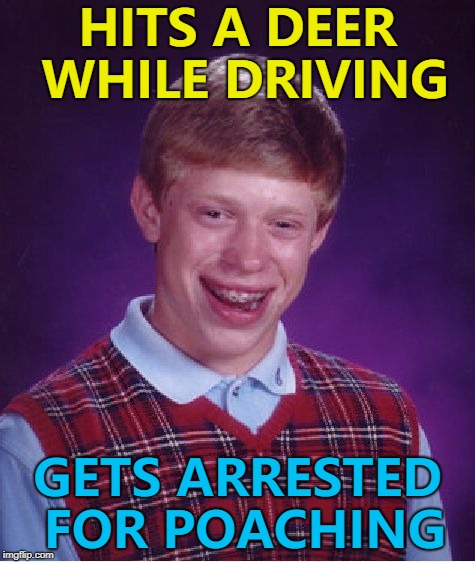 Oh deer... :) | HITS A DEER WHILE DRIVING; GETS ARRESTED FOR POACHING | image tagged in memes,bad luck brian,deer,poaching | made w/ Imgflip meme maker