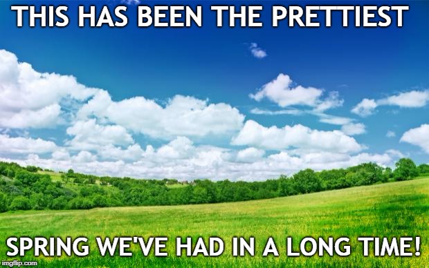 beautiful nature | THIS HAS BEEN THE PRETTIEST; SPRING WE'VE HAD IN A LONG TIME! | image tagged in beautiful nature | made w/ Imgflip meme maker