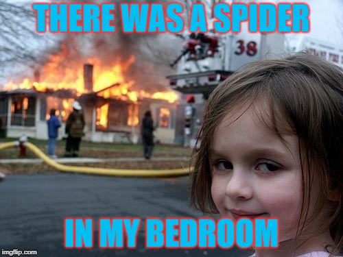 RIP Spider | THERE WAS A SPIDER; IN MY BEDROOM | image tagged in memes,disaster girl | made w/ Imgflip meme maker