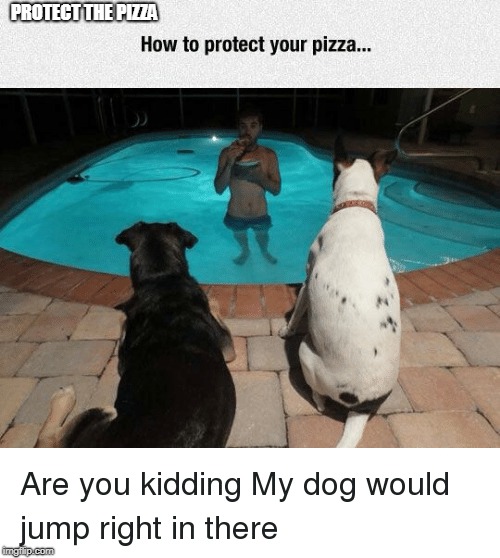 PROTECT THE PIZZA | image tagged in pizza,dogs | made w/ Imgflip meme maker