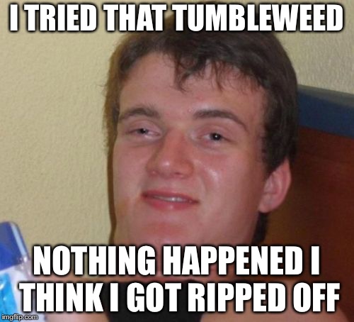 10 Guy Meme | I TRIED THAT TUMBLEWEED; NOTHING HAPPENED I THINK I GOT RIPPED OFF | image tagged in memes,10 guy | made w/ Imgflip meme maker