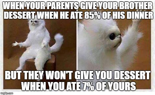 You both ate part of your dinner but only he gets dessert. Clearly favoritism. | WHEN YOUR PARENTS GIVE YOUR BROTHER DESSERT WHEN HE ATE 85% OF HIS DINNER; BUT THEY WON'T GIVE YOU DESSERT WHEN YOU ATE 7% OF YOURS | image tagged in persian cat room guardian,memes,dessert,favoritism,percentages,thisimagehasalotoftags | made w/ Imgflip meme maker