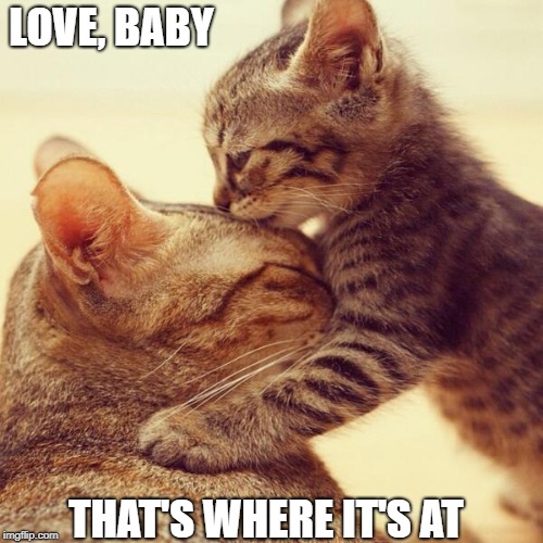 The Love Cats | LOVE, BABY; THAT'S WHERE IT'S AT | image tagged in love,memes | made w/ Imgflip meme maker