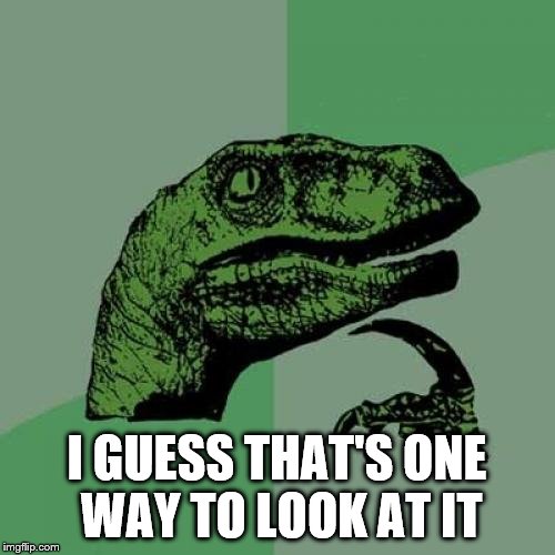 Philosoraptor Meme | I GUESS THAT'S ONE WAY TO LOOK AT IT | image tagged in memes,philosoraptor | made w/ Imgflip meme maker