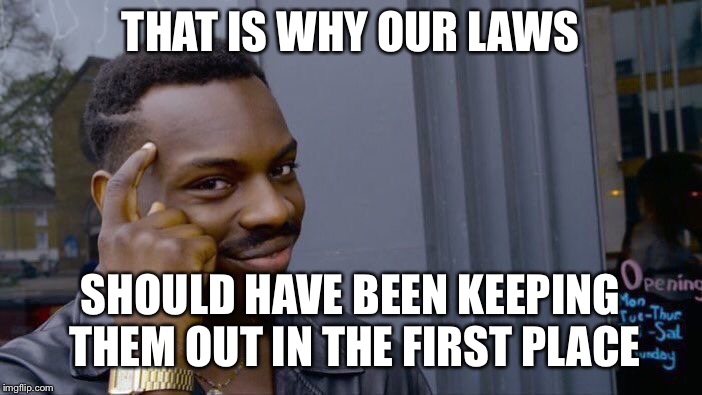Roll Safe Think About It Meme | THAT IS WHY OUR LAWS SHOULD HAVE BEEN KEEPING THEM OUT IN THE FIRST PLACE | image tagged in memes,roll safe think about it | made w/ Imgflip meme maker