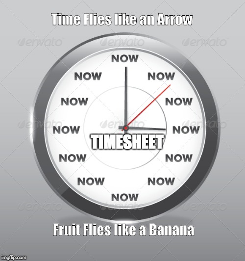Time Flies Like an Arrow Timesheet Reminder | Time Flies like an Arrow; TIMESHEET; Fruit Flies like a Banana | image tagged in timesheet reminder,time flies like an arrow,timesheet meme | made w/ Imgflip meme maker