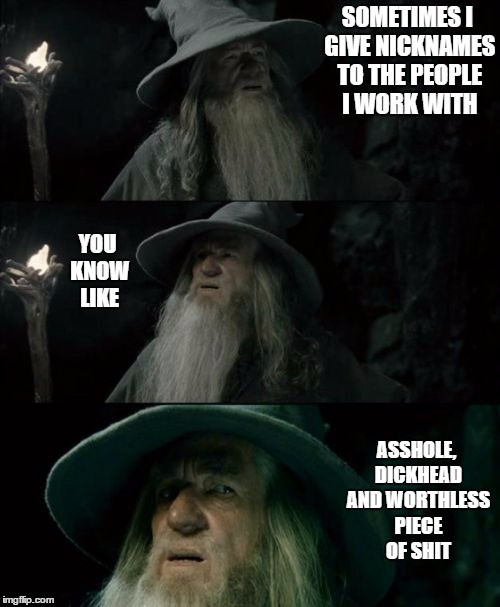 Everyone needs to be called something. I'm sure they have a few for me. | SOMETIMES I GIVE NICKNAMES TO THE PEOPLE I WORK WITH; YOU KNOW LIKE; ASSHOLE, DICKHEAD AND WORTHLESS PIECE OF SHIT | image tagged in memes,confused gandalf,random | made w/ Imgflip meme maker