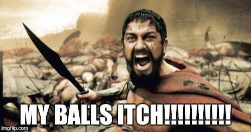 Sparta Leonidas Meme | MY BALLS ITCH!!!!!!!!!! | image tagged in memes,sparta leonidas | made w/ Imgflip meme maker