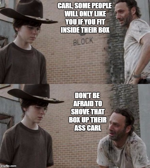Rick and Carl | CARL, SOME PEOPLE WILL ONLY LIKE YOU IF YOU FIT INSIDE THEIR BOX; DON'T BE AFRAID TO SHOVE THAT BOX UP THEIR ASS CARL | image tagged in memes,rick and carl,random | made w/ Imgflip meme maker