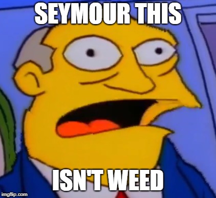 Seymour this isn't weed | SEYMOUR THIS; ISN'T WEED | image tagged in steamed hams | made w/ Imgflip meme maker