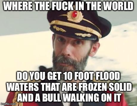 WHERE THE F**K IN THE WORLD DO YOU GET 10 FOOT FLOOD WATERS THAT ARE FROZEN SOLID AND A BULL WALKING ON IT | made w/ Imgflip meme maker