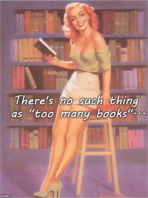 Too many books??? | There's no such thing as "too many books"... | image tagged in no such thing | made w/ Imgflip meme maker
