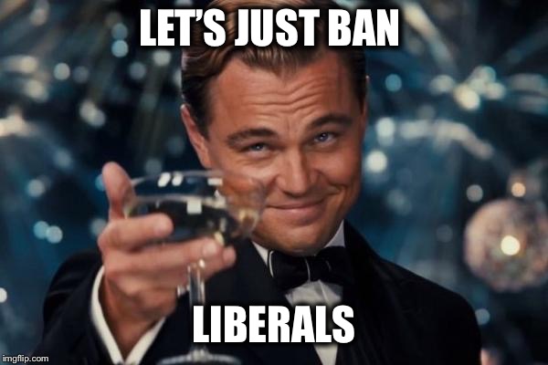 Leonardo Dicaprio Cheers Meme | LET’S JUST BAN LIBERALS | image tagged in memes,leonardo dicaprio cheers | made w/ Imgflip meme maker