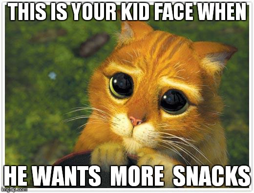Shrek Cat | THIS IS YOUR KID FACE WHEN; HE WANTS  MORE  SNACKS | image tagged in memes,shrek cat | made w/ Imgflip meme maker