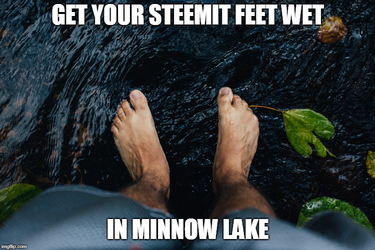 GET YOUR STEEMIT FEET WET; IN MINNOW LAKE | made w/ Imgflip meme maker