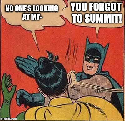 OOF I spelt to wrong, how triggering. | NO ONE'S LOOKING AT MY-; YOU FORGOT TO SUMMIT! | image tagged in memes,batman slapping robin | made w/ Imgflip meme maker