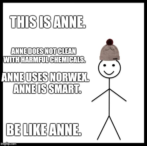 Be Like Bill Meme | THIS IS ANNE. ANNE DOES NOT CLEAN WITH HARMFUL CHEMICALS. ANNE USES NORWEX. 
ANNE IS SMART. BE LIKE ANNE. | image tagged in memes,be like bill | made w/ Imgflip meme maker