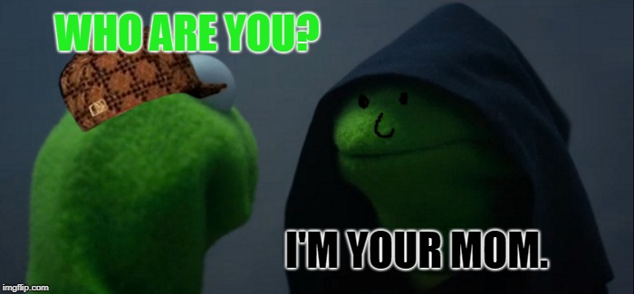 Evil Kermit | WHO ARE YOU? I'M YOUR MOM. | image tagged in memes,evil kermit,scumbag | made w/ Imgflip meme maker