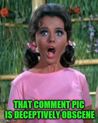 THAT COMMENT PIC IS DECEPTIVELY OBSCENE | made w/ Imgflip meme maker