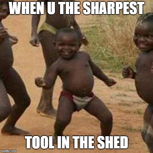 Third World Success Kid Meme | WHEN U THE SHARPEST; TOOL IN THE SHED | image tagged in memes,third world success kid | made w/ Imgflip meme maker