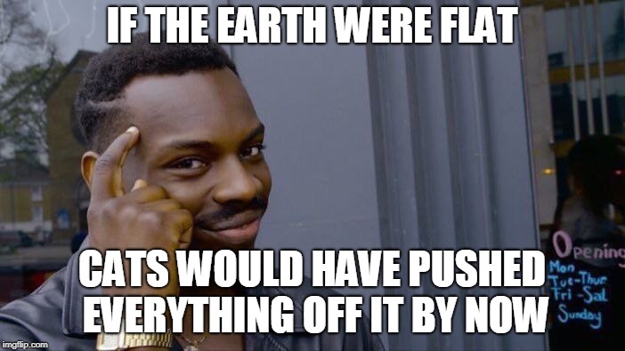 Roll Safe Think About It Meme | IF THE EARTH WERE FLAT CATS WOULD HAVE PUSHED EVERYTHING OFF IT BY NOW | image tagged in memes,roll safe think about it | made w/ Imgflip meme maker